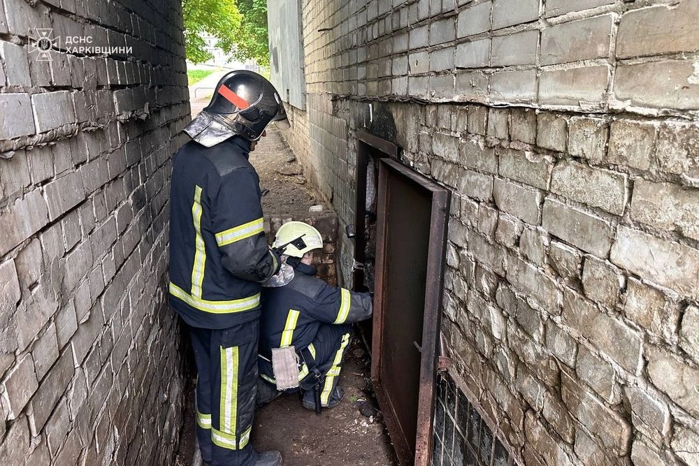 Rescuers evacuate 15 residents of a house and save a cat during a fire in Kharkiv - SES