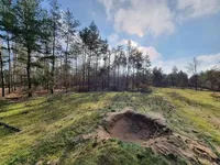 Уничтоженные леса и заминированные территории: в СтратКоми рассказали, какой вред россияне нанесли украинской окружающей среде
