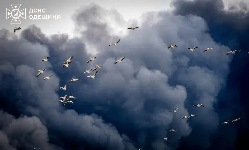 okolo-sotni-pelikanov-poyavilis-v-nebe-vo-vremya-likvidatsii-posledstvii-rossiiskikh-obstrelov-odesskoi-oblasti