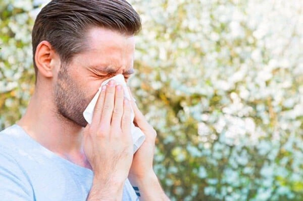 Pollen activity will still remain in May: an allergist gave advice on how to endure the allergy season more easily
