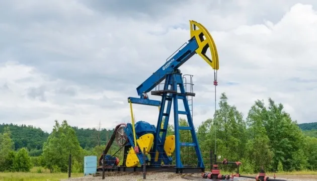 "Ukrnafta increased its gas and oil reserves by expanding the boundaries of special permits