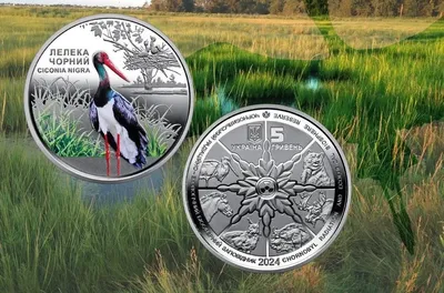 NBU issues commemorative coin with a black stork to mark 38th anniversary of the Chornobyl disaster