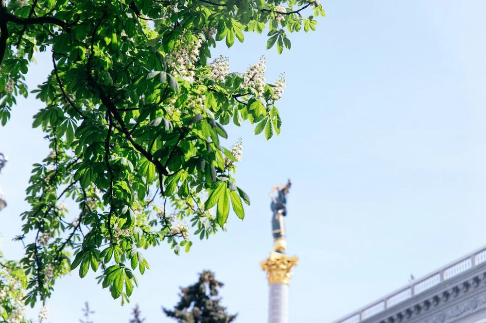 Chestnuts blossomed in Kyiv: photos of the city in bloom