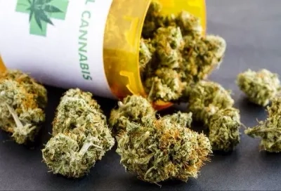 Адміністрація Байдена прагне перекласифікувати марихуану як менш небезпечний наркотик - WSJ