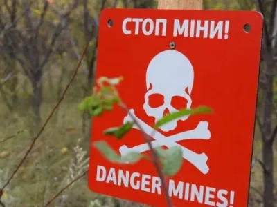 Over 280 thousand hectares remain mined in Mykolaiv region - Kim