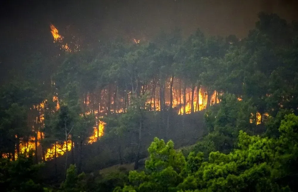 У Греції розробляють доктрину для стримування літніх лісових пожеж, але експерти вже зараз називають її недостатньою