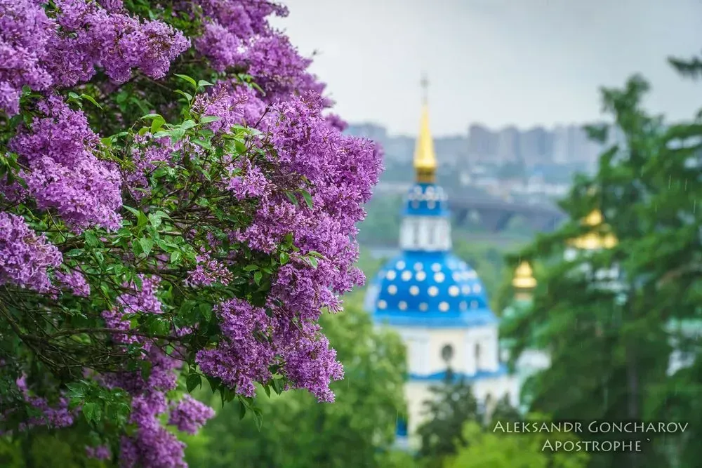 Ботанический сад имени Гришко в Киеве получает повреждения из-за недобросовестных посетителей