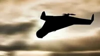 Воздушные Силы предупреждают о потенциальной угрозе применения ударных БпЛА на Сумщине