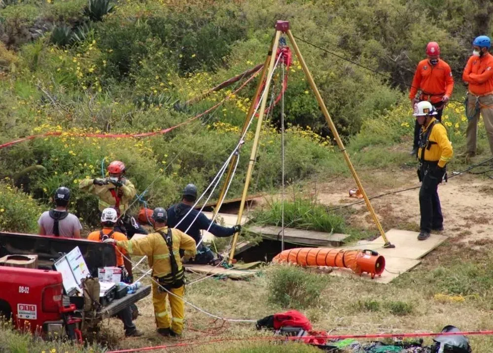 Bodies of three missing foreign surfers with bullets in their heads found in a Mexican well
