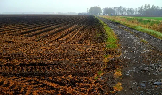 About 18% of agricultural land remains under occupation, but about 20 million hectares are used for growing grains and oilseeds - Ministry of Agrarian Policy