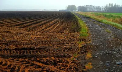 В окупації залишається близько 18% сільгоспземель, але близько 20 млн га використовується для вирощування зернових та олійних культур - Мінагро