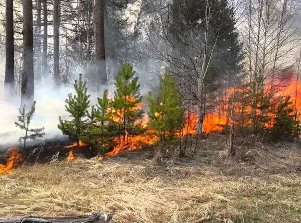 Kyiv warned of an extraordinary level of fire danger