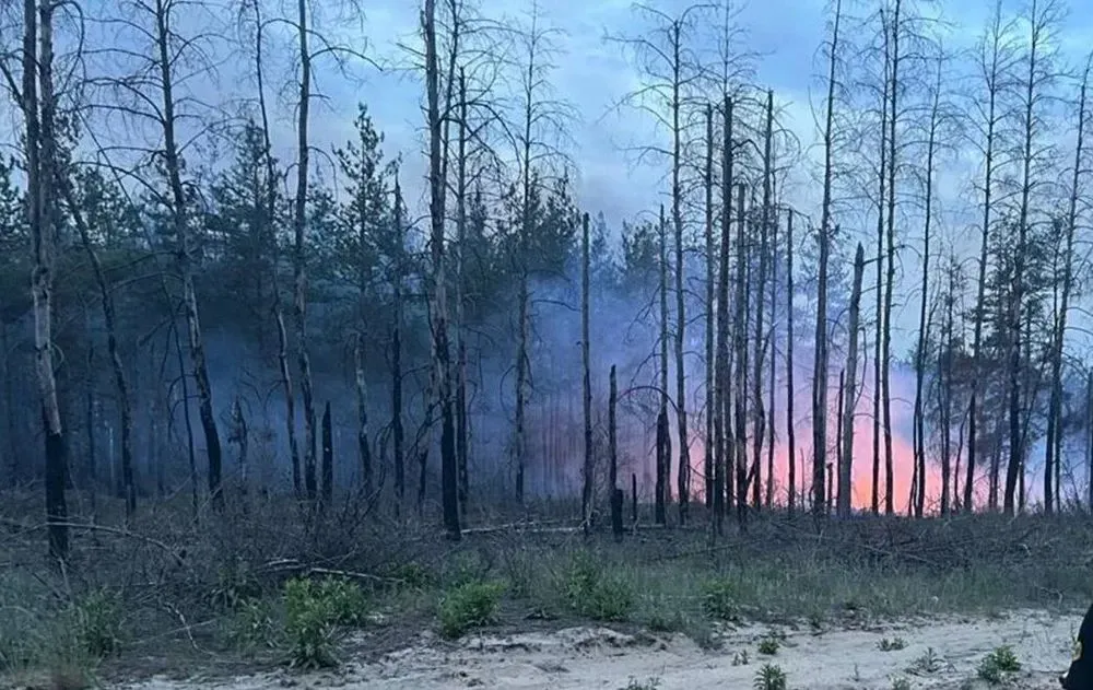 В Донецкой области горит лесной массив из-за обстрела россиян