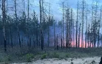 В Донецкой области горит лесной массив из-за обстрела россиян