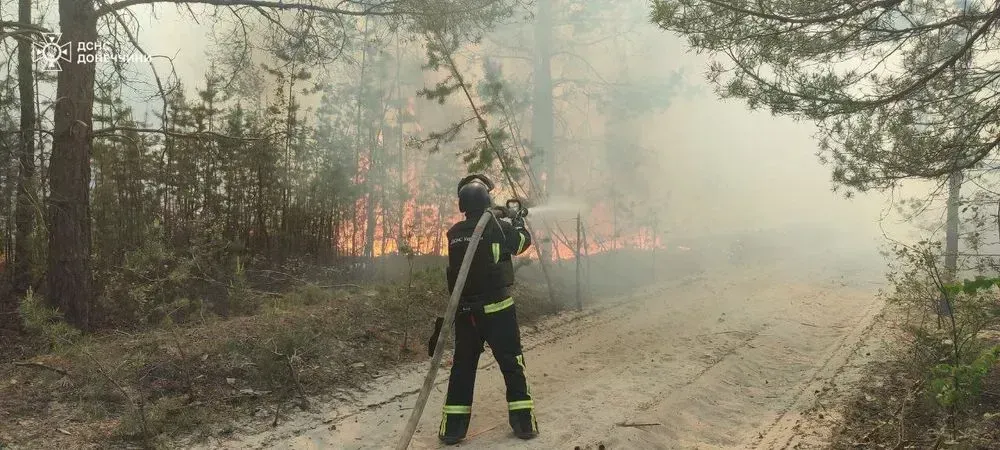 470 hectares of coniferous forest burned in Donetsk region due to enemy shelling