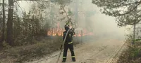 В Донецкой области из-за вражеского обстрела горело 470 га хвойного леса