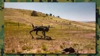 US Marine Corps tests robotic dogs equipped with AI-targeting weapons - media