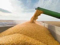 Борьба с "черным зерном": Рада приняла два законопроекта