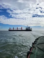 Експорт українським морським коридором сягнув 45 млн тонн