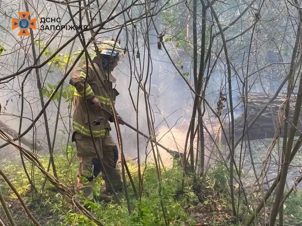 Fire extinguished in Zaporizhzhia on an open area of 6 hectares