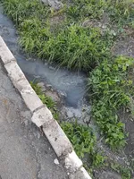 Mariupol residents complain that sewage has been flowing to the sea for a month