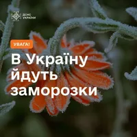 Заморозки йдуть в Україну: яким областям приготуватися