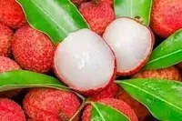 Extreme weather conditions in China destroyed $4 billion worth of lychee crop