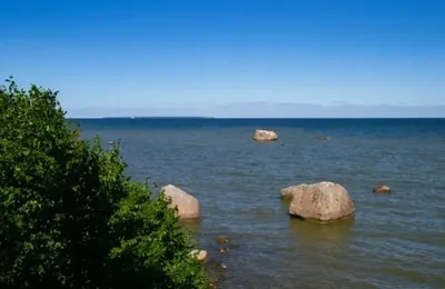 Эстония продаст необитаемый остров в Балтийском море на аукционе