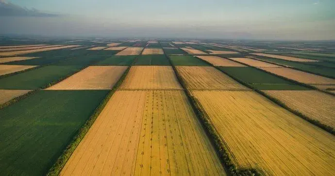 Прокуратура хоче арештувати земельні ділянки більш ніж тисячі учасників АТО