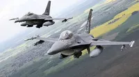 Zelenskiy says the first F-16s will not play a key role