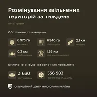 Українські групи розмінування очищають звільнені території від вибухонебезпечних предметів