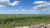 Ecologist tells how the bottom of the former Kakhovka reservoir is changing