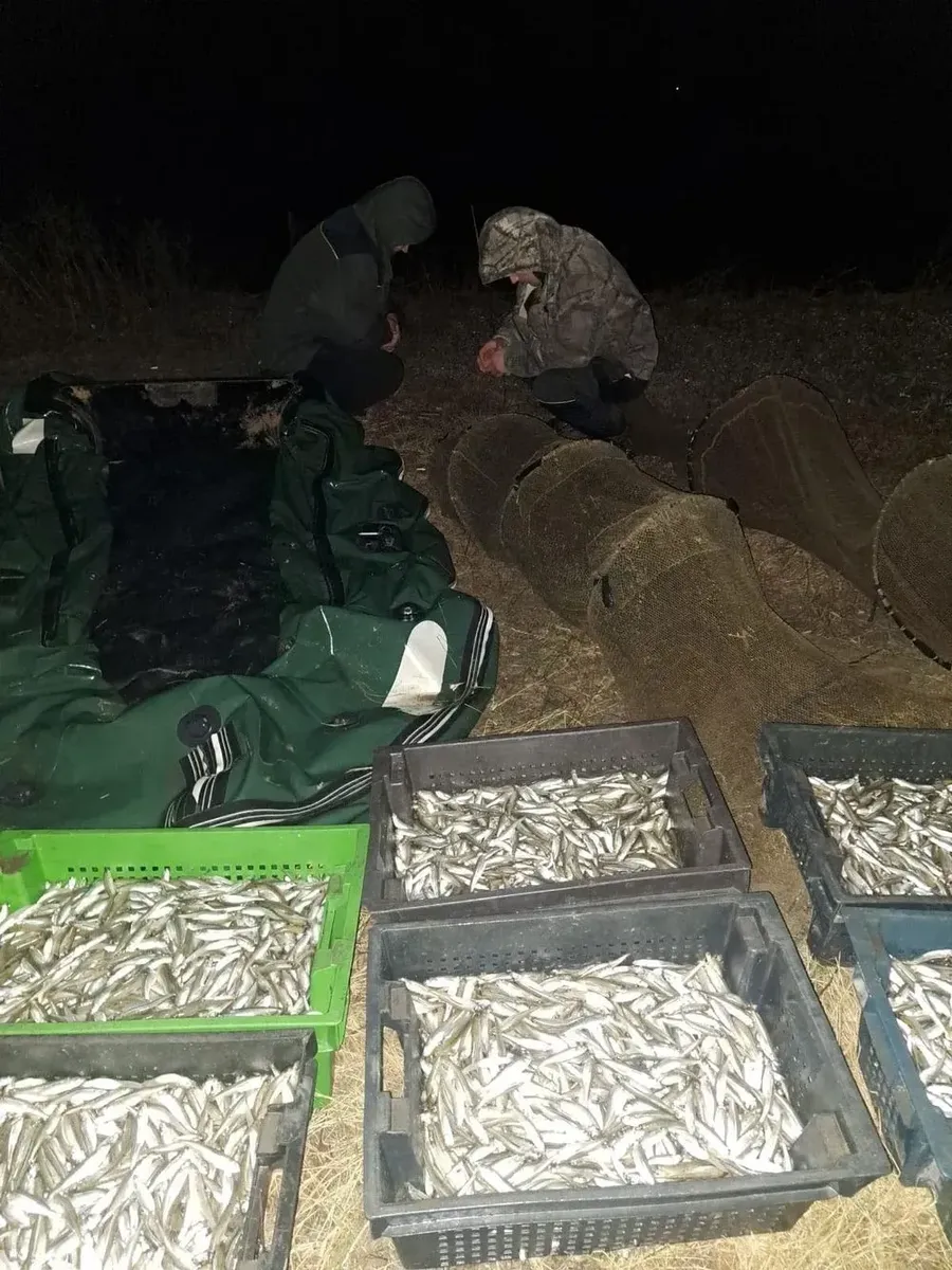 В нацпарку "Тузлівські лимани" виявлено масове браконьєрство