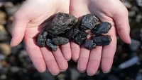 Махинации с углем на пол миллиарда гривен: будут судить экс руководителя госкомпании"Краснолиманская"