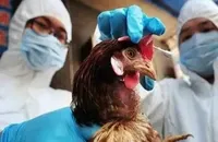 Second human case of avian influenza reported in a dairy farm worker in the United States