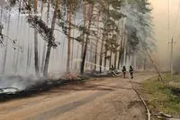 Forests of the Luhansk region are destroyed daily by enemy shelling