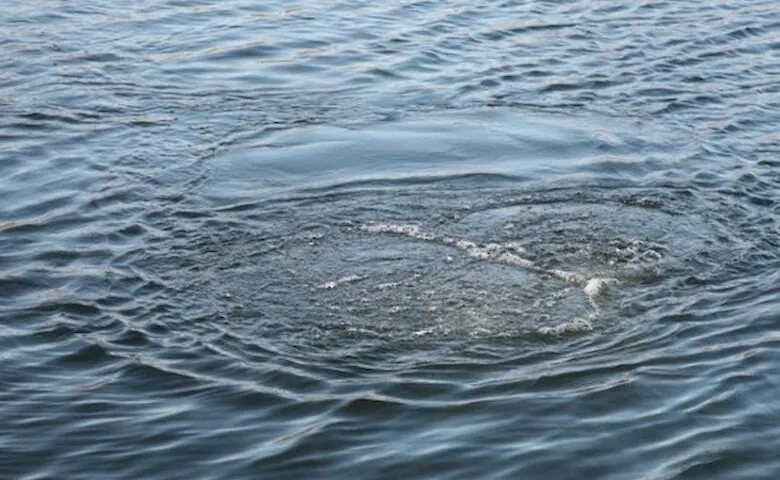 Не впорався з течією: на Закарпатті у річці Уж потонув 15-річний юнак
