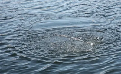 Не справился с течением: на Закарпатье в реке Уж утонул 15-летний юноша