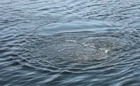 Не впорався з течією: на Закарпатті у річці Уж потонув 15-річний юнак