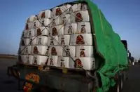 Вантажівки з гуманітарною допомогою прибувають до Гази, але їх не можуть доставити – Reuters