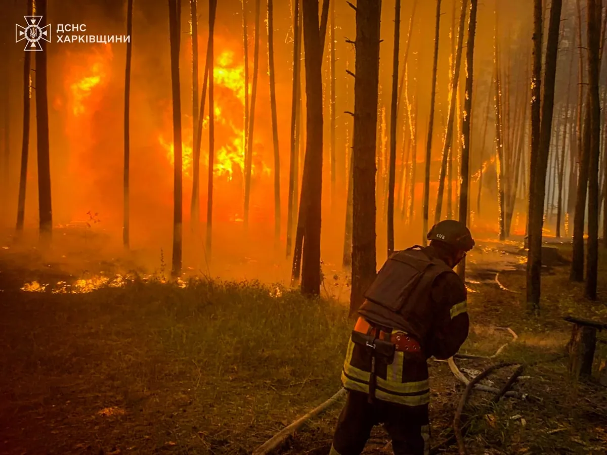 More than 34 thousand fires registered in Ukraine in five months - State Emergency Service