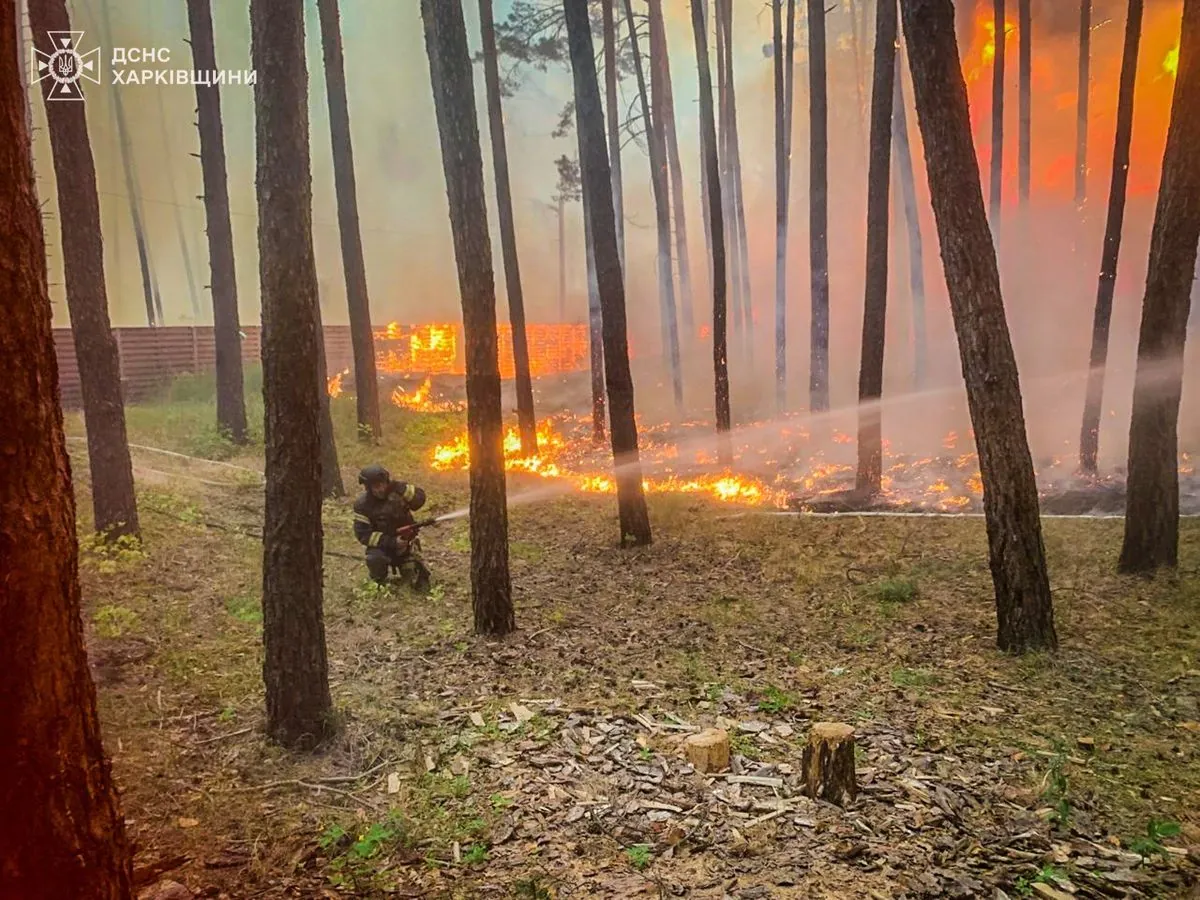 18 forest fires recorded in Kharkiv region
