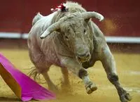 Colombia passes bill banning bullfighting from 2027