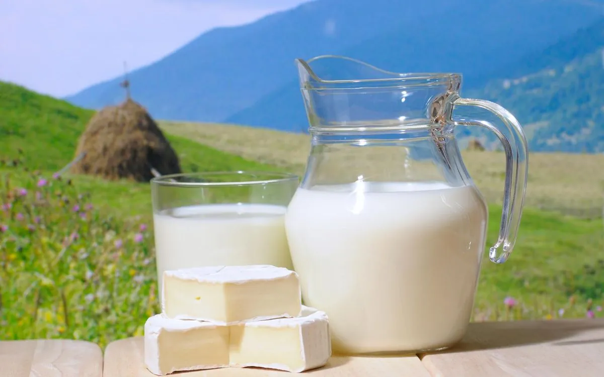 June 1: World Milk Day, New Year's promise confirmation day