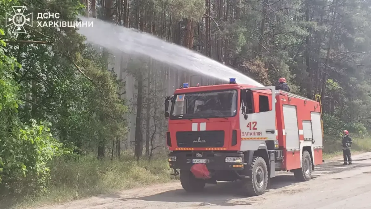 На Харківщині лісові пожежі охопили понад 4,3 тис. га