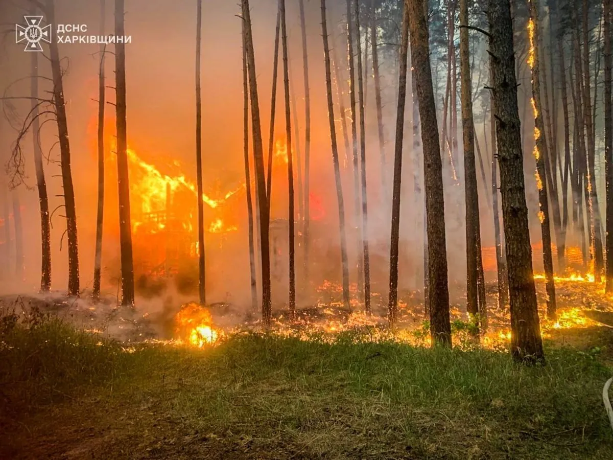На Харківщині лісові пожежі охопили понад 4,3 тис. га
