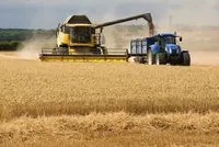 В этом году урожай зерновых и масличных культур прогнозируется на уровне около 75 млн тонн - нардеп