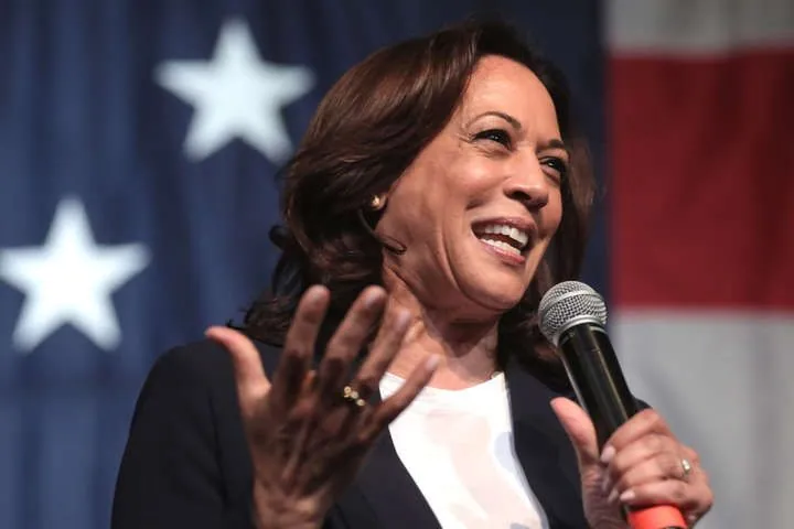 us-vice-president-harris-to-attend-peace-summit-in-switzerland