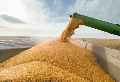 Бізнесмени Гроза і Науменко торгівлі українським зерном з підсанкційною компанією з "контрабандного списку"?