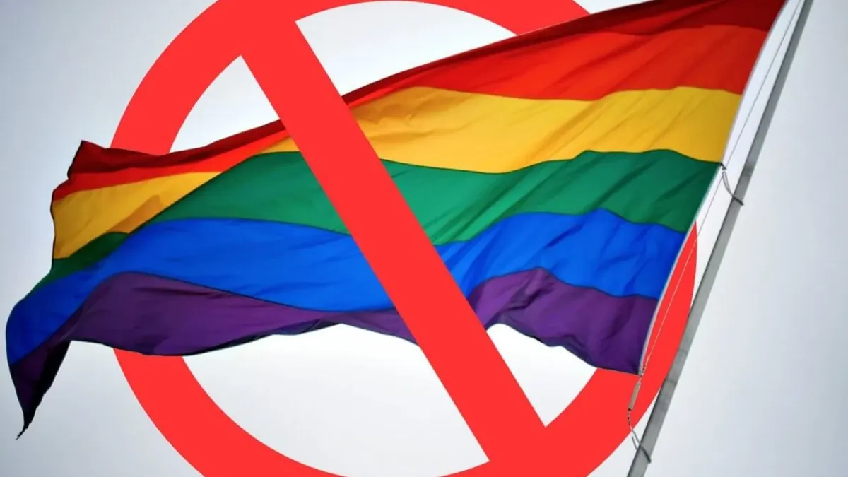 Правящая партия Грузии хочет ограничить права ЛГБТ в стране